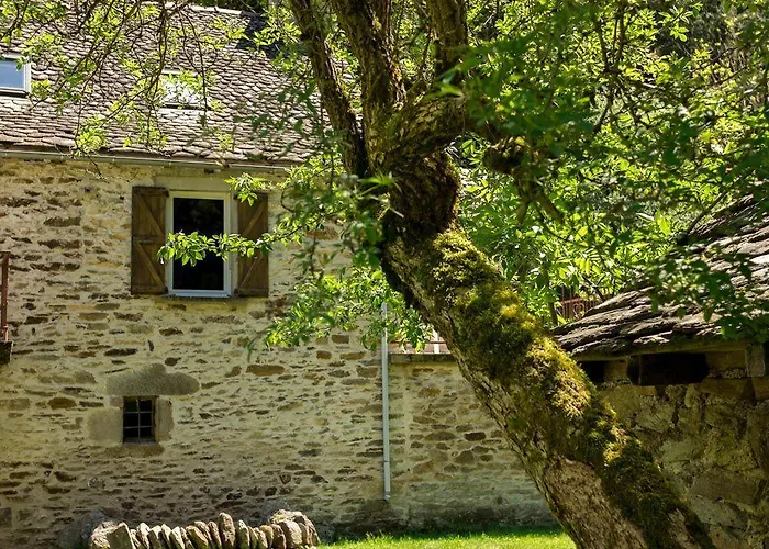 Le Moulin De Graunes Moyrazès